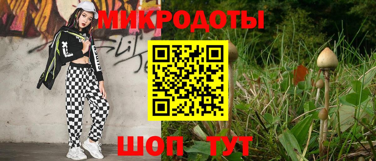 Псилоцибиновые грибы Cubensis Чусовой