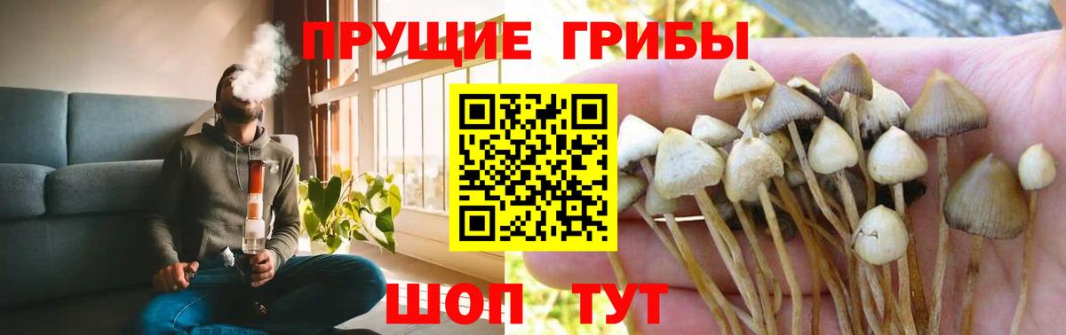 Псилоцибиновые грибы Cubensis  Псилоцибиновые грибы мицелий  Вход с VPN  Чусовой 